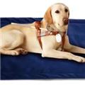 One PCS Accept Anti-skid  Drying  Pet Warm Mat