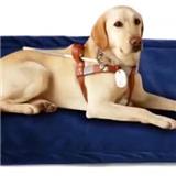 One PCS Accept Anti-skid  Drying  Pet Warm Mat