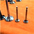 Titanium-plated high-strength, high-temperature valve engine valve