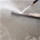 High Quality Low price  self  Portable High Pressure Induction motor Little wolf god Car Washer kit