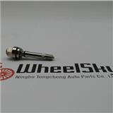 New Arrival Invisible Tire Valve Locks with Extension Set