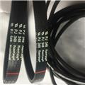 moulded rubber poly v belt ribbed belt PJ for damaon roller conveyor transmission for logistic industry or packing industry