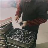 wheel nut high grade nuts and bolts hub nuts  6.8/8.8/10.9/12.9