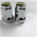 Supplier Of Guangzhou Car Wheel Parts Refit M10*1.25 Iron Steel Tire Nuts