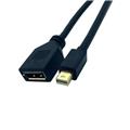 30cm DisplayPort Female to Mini DisplayPort Male cable