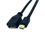 30cm DisplayPort Female to Mini DisplayPort Male cable