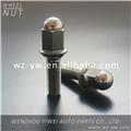 wheel nut