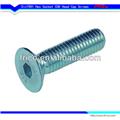Din7991/ ISO10642 Hex Socket Countersunk Head Cap Screws