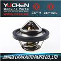 Thermostat for DFSK