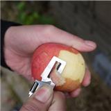 Mini EDC Pocket Fruit Knife Cut Outdoor Tools Multi-Function Hunting Survival Camping Hiking Stainless Bottle Opener Gear