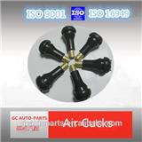 Tubeless Tire Valves TR413