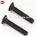 TS16949 high strength black wheel hub bolt nuts