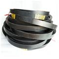 Classical Wrapped V Belts(Section C)