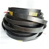 Classical Wrapped V Belts(Section C)