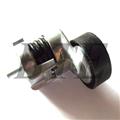 Spare Parts Belt tensioner and pulley 11287524267