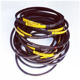 Classical Wrapped V Belts(Section A)