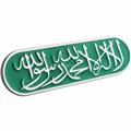 Custom Saudi Arabia flag plastic car nameplates emblem