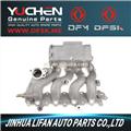 Intake Manifold for DFSK