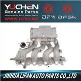 Intake Manifold for DFSK