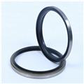 Sanping Super Quality DKB NBR Reciprocation Dust Seal in China