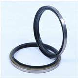 Sanping Super Quality DKB NBR Reciprocation Dust Seal in China