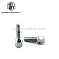 chrome wheel bolt