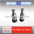 GC alloy clamp-in tire alloy valve MS525