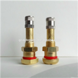 European style o-ring seal truck clamp-in valve V3-20