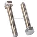 Auto Parts Factory Stainless Steel M12 Hex Bolt DIN933