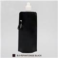 Refilling Reusable Carabiner Spout Pouch with Carabiner and FDA BPA Free