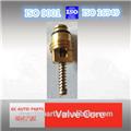 Air conditional valve core include Valve Core Remover & Installer Tool & core