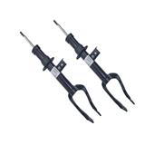 shock absorber F18 for BMW 31316863805 front 4 runner 4X4 Guangzhou Distributor
