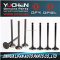 Intake & Exhaust Valve for DFM
