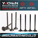 Intake & Exhaust Valve for DFM