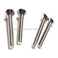 ZION Fastener Factory DIN965 Stainless Steel 304 Countersunk Head Machine Screws M2 M4