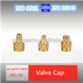 GC metal tyre valve caps