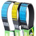5PK970 OEM 9936500970 FOR CAR V-RIBBED BELT