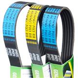 5PK970 OEM 9936500970 FOR CAR V-RIBBED BELT