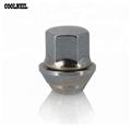 Supplier Of China Car Wheel M12*1.5/M12*1.25 Nuts For Ford