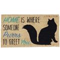 Entry Welcome Entrance Indoor Outdoor Cat Doormats Door Mats