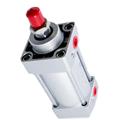standard or nonstandard air penumatic piston price air cylinder