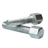 10.9 OEM hex lug bolt chrome plated hexagon bolt