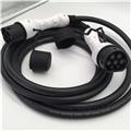 16A 3Phase level 3 IEC 62196 EV Charger Type 2 Female To Male Cable charging plug from China