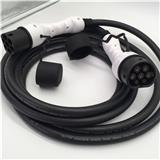 16A 3Phase level 3 IEC 62196 EV Charger Type 2 Female To Male Cable charging plug from China
