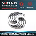 Crankshaft Bearing for DFM