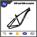 Professional custom OEM Bicycle Frame