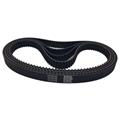 Automotive CAR timing belt  ZBS /(R(MR);Y(MY);ZBS;YU;RU;ZA;S8M)
