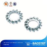 BAOSTEP Custom Printed Dust Proof Sgs Certified Asme B 18.21.1 Washer