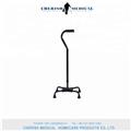 Factory price/Health Care Cane multifunctional old walking stick/cane 931L