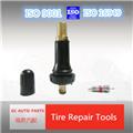Monitoring tire pressure tire valves TPMS414